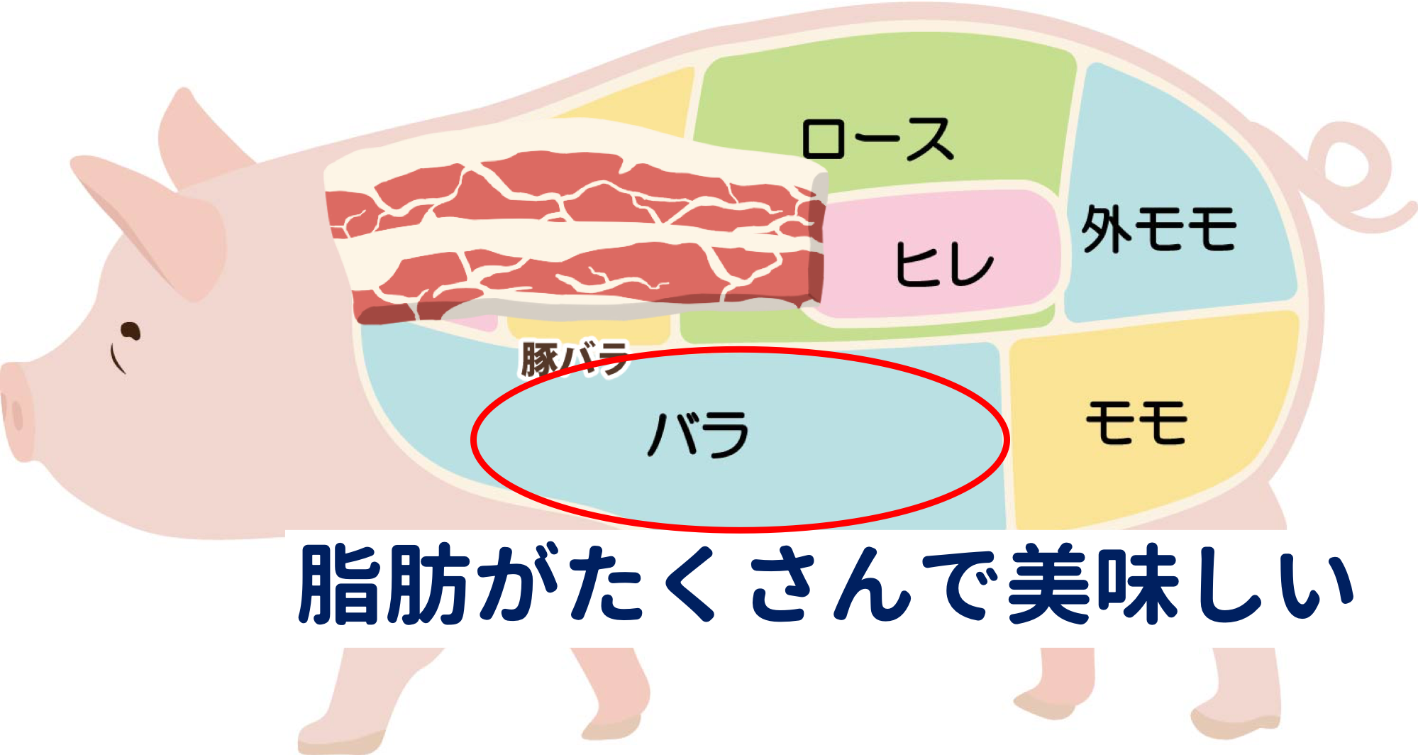 豚肉の部位と特徴をまとめてみました 値段や合う料理もご紹介 肉の通販ガイド 牛 豚 鳥のおすすめ通販