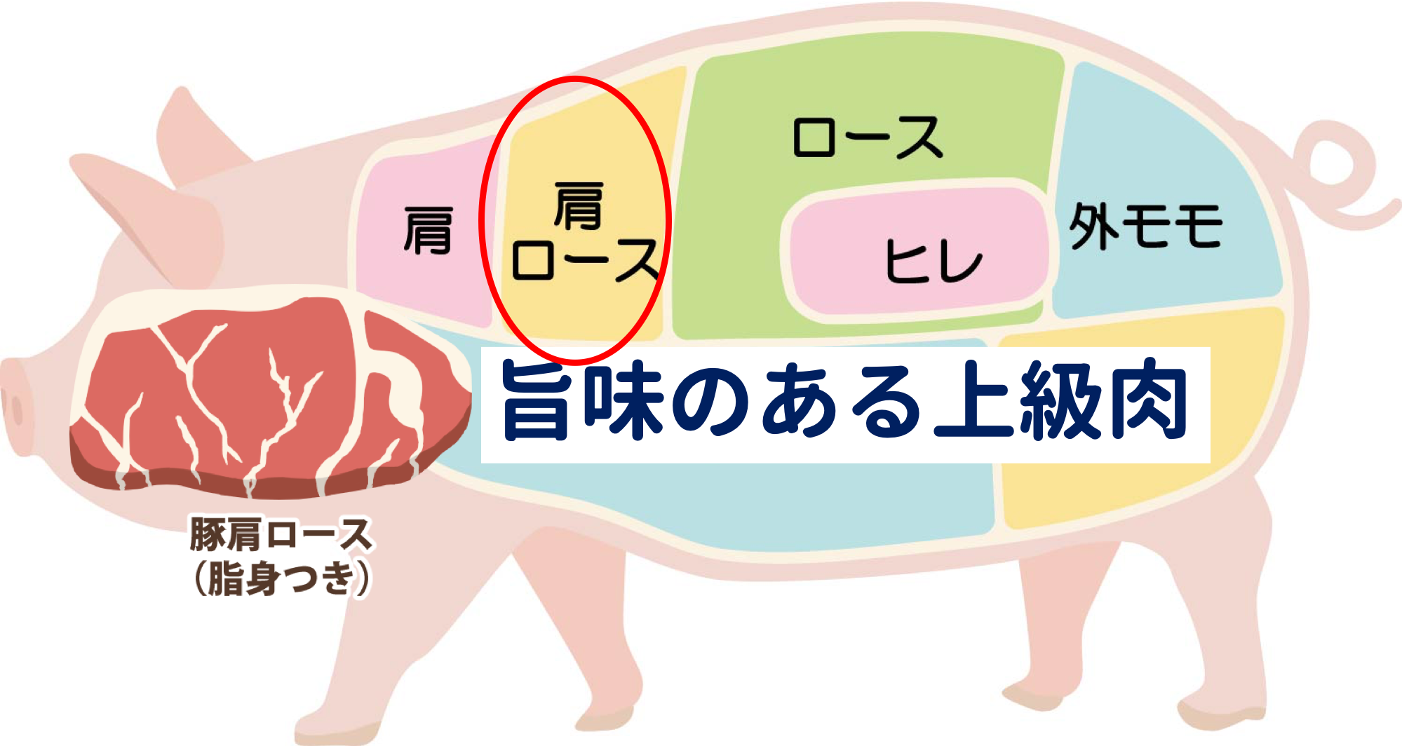 豚肉の部位と特徴をまとめてみました！値段や合う料理もご紹介 | 肉の通販ガイド｜牛・豚・鳥のおすすめ通販
